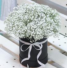 Цветочная композиция из Гипсофила в шляпной коробке #REPLACE_PRED# Городище Волгоградской области