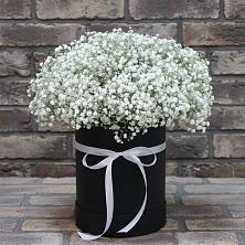 Цветочная композиция из Гипсофила в шляпной коробке в Городище Волгоградской области
